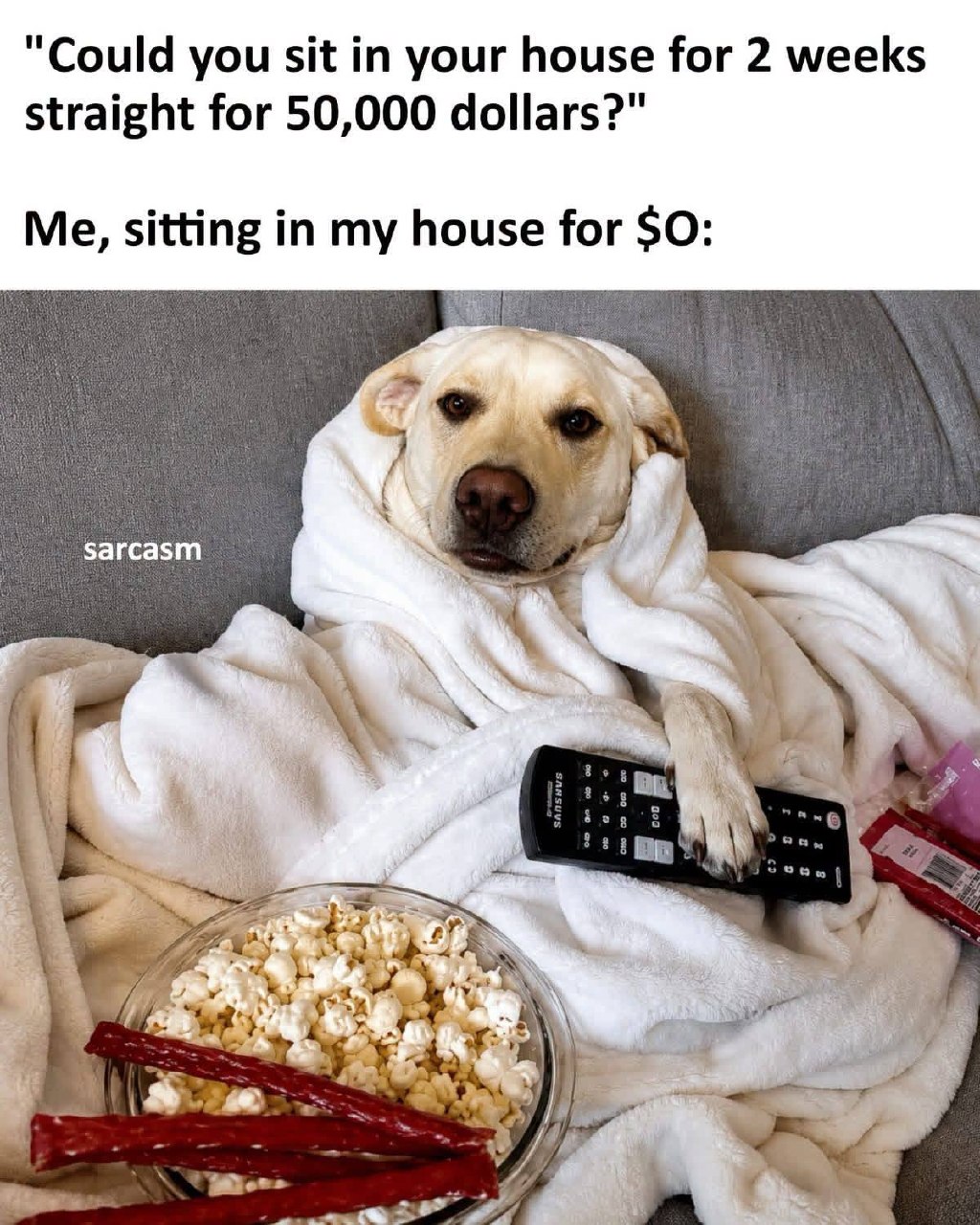 "Could you:sit in your house for 2 weeks straight for 50,000 dollars? Me, sitting in my house for $O: